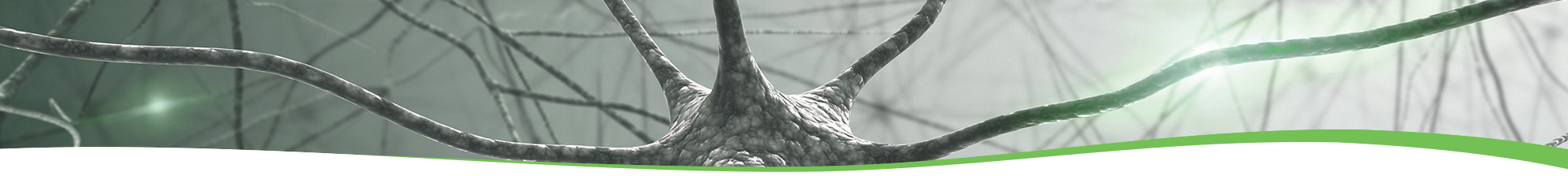 Head banner Neurodegeneration